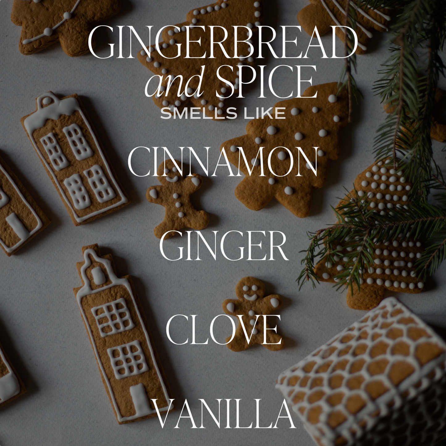 Gingerbread and Spice 9 oz Soy Candle