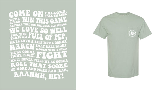 Bay light green blue short sleeve with small falcon head decal and its a great day to be a falcon wrapped around with the fight song in big bubble letters on the back