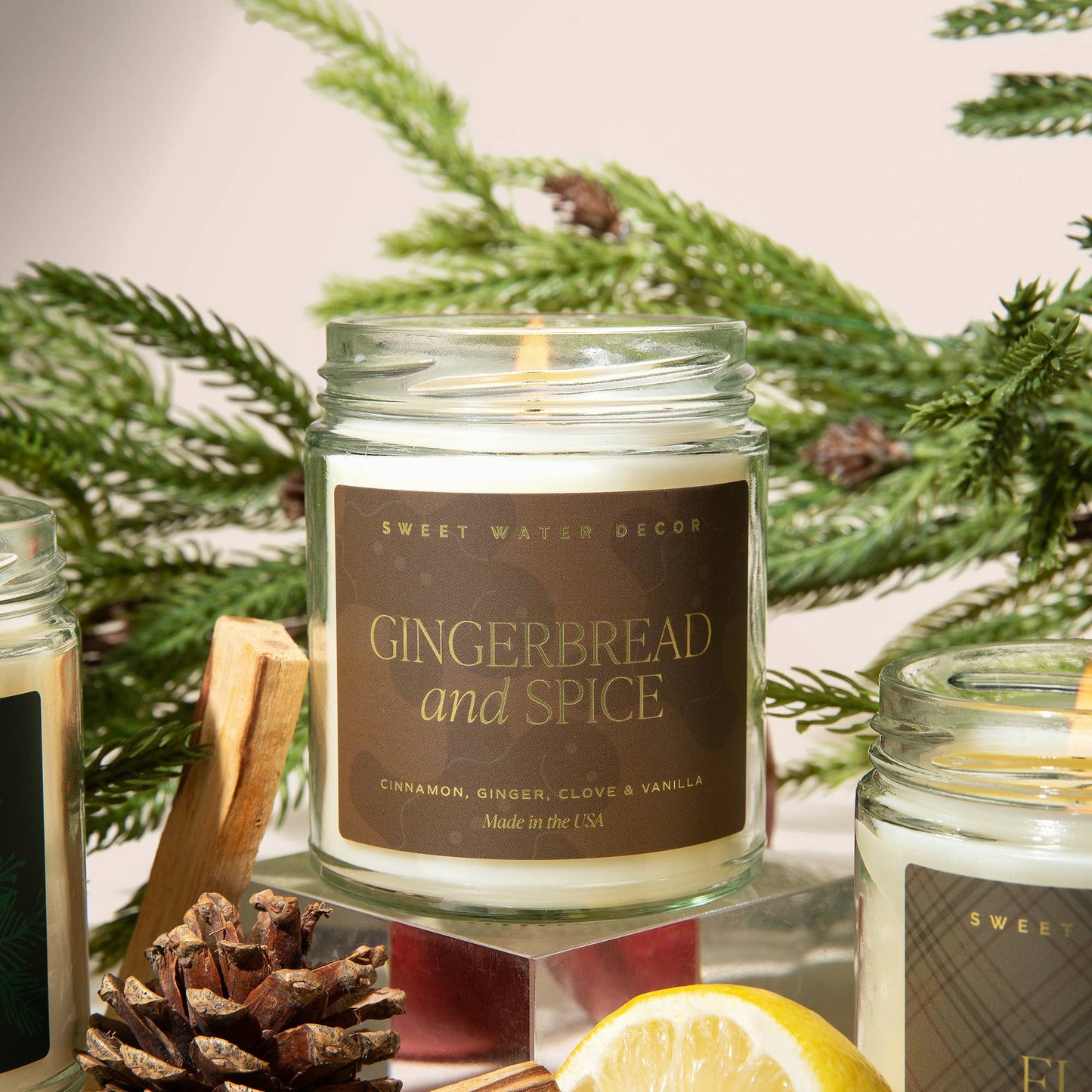 Gingerbread and Spice 9 oz Soy Candle