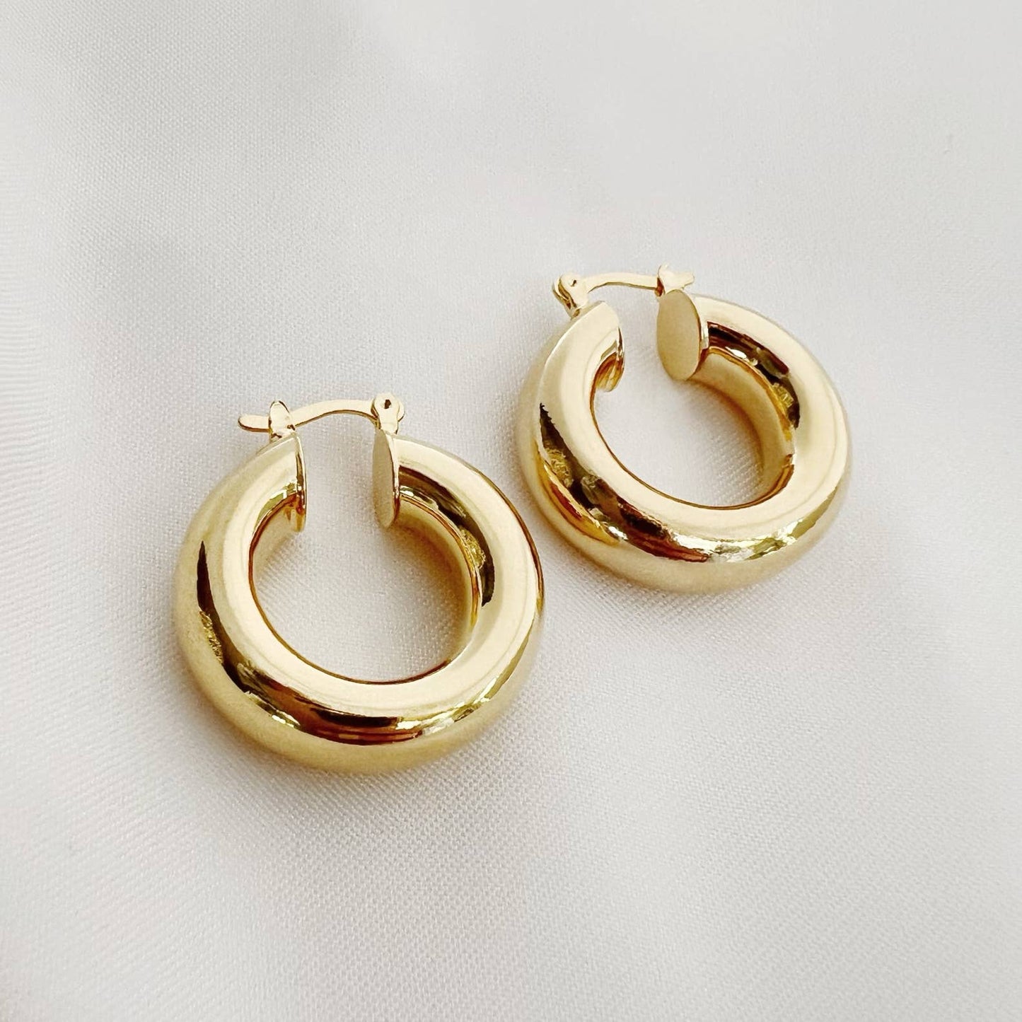 James Chunky Tube Hoops Earrings