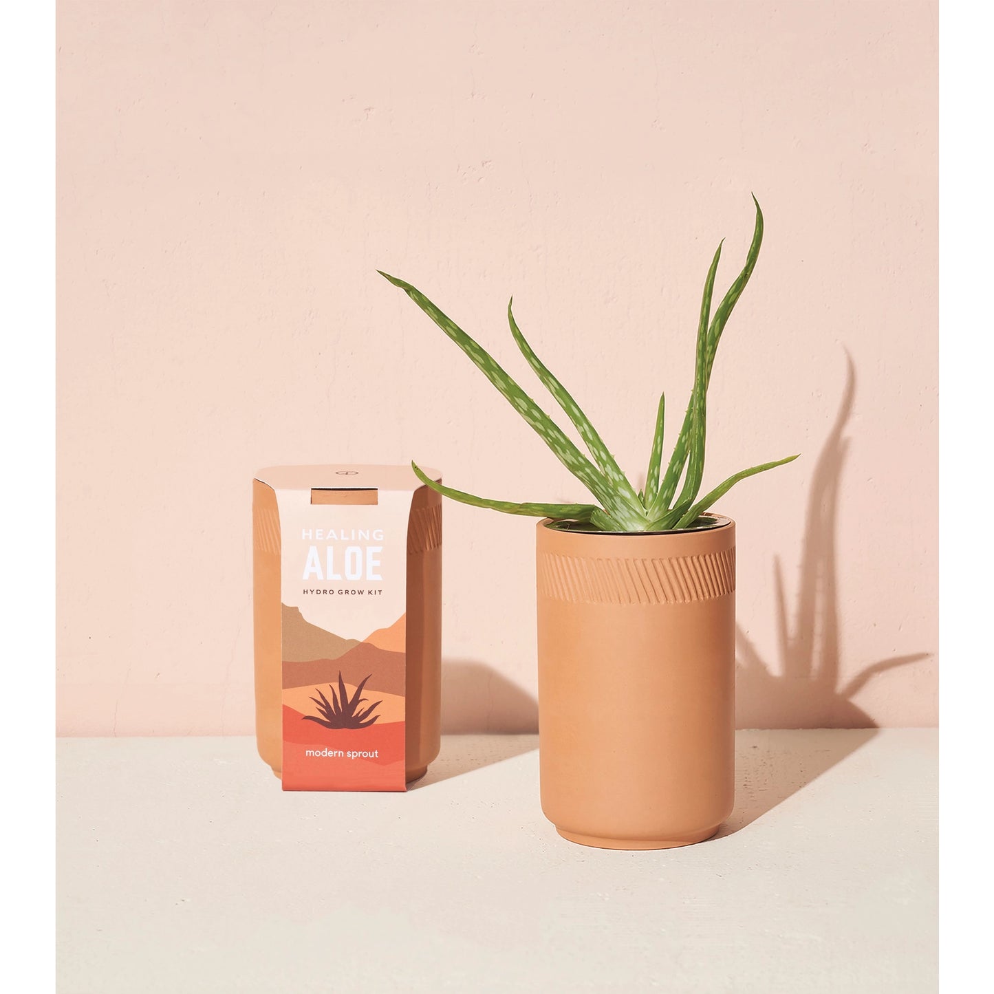 Terracotta Kit - Aloe